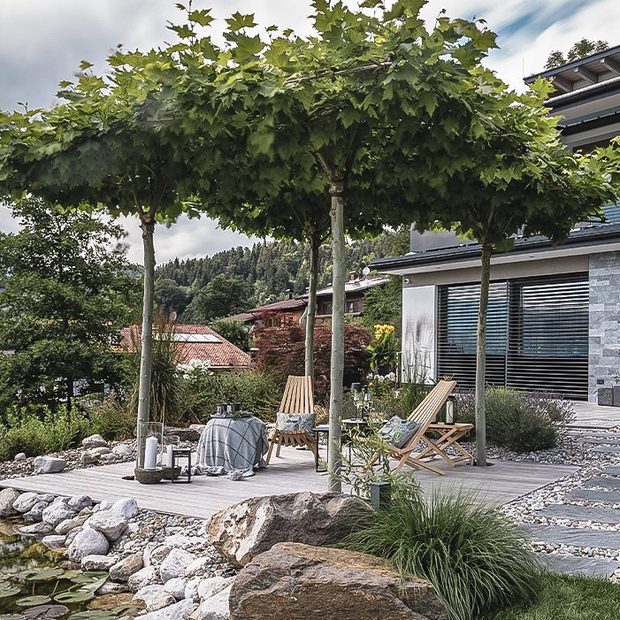 garten-gesamtgestaltung-schwimmteich-seerosen