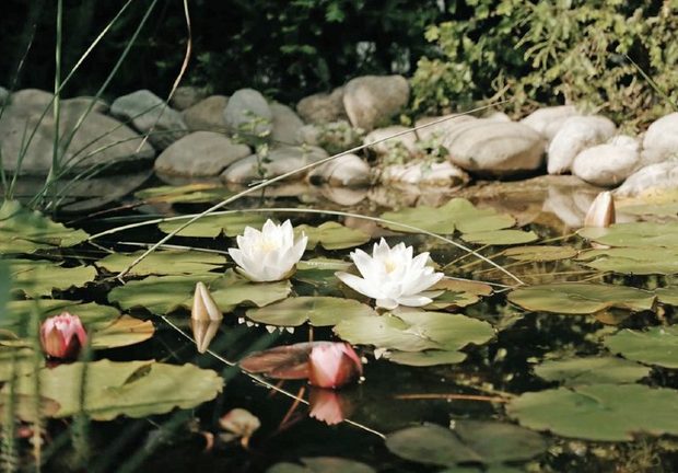 photo-award-2024-sieger-social-media