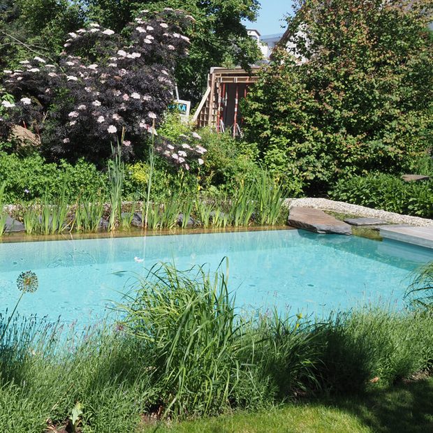 naturpool-p4n-leiter-holz-steinmauer