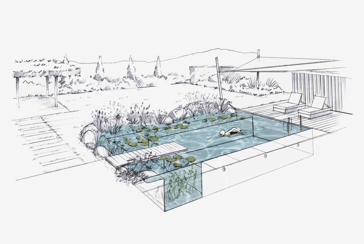 schwimmteich-technische-zeichnung