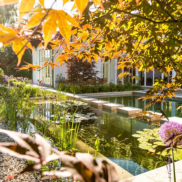 schwimmteich-herbststimmung-steinplatten