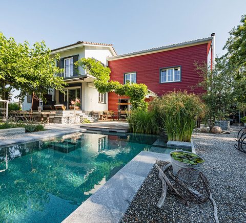 naturpool-gartengestaltung-deko