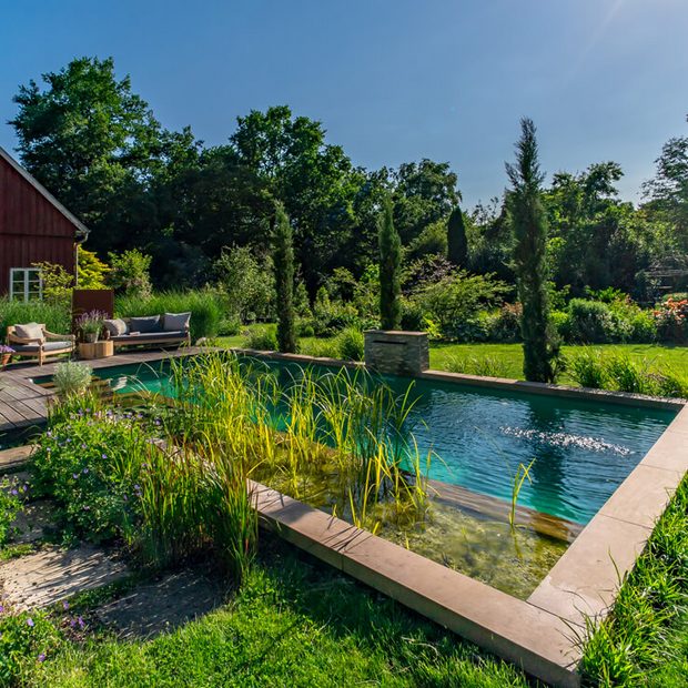 naturpool-p4n-rasen-garten-gesamtkonzept